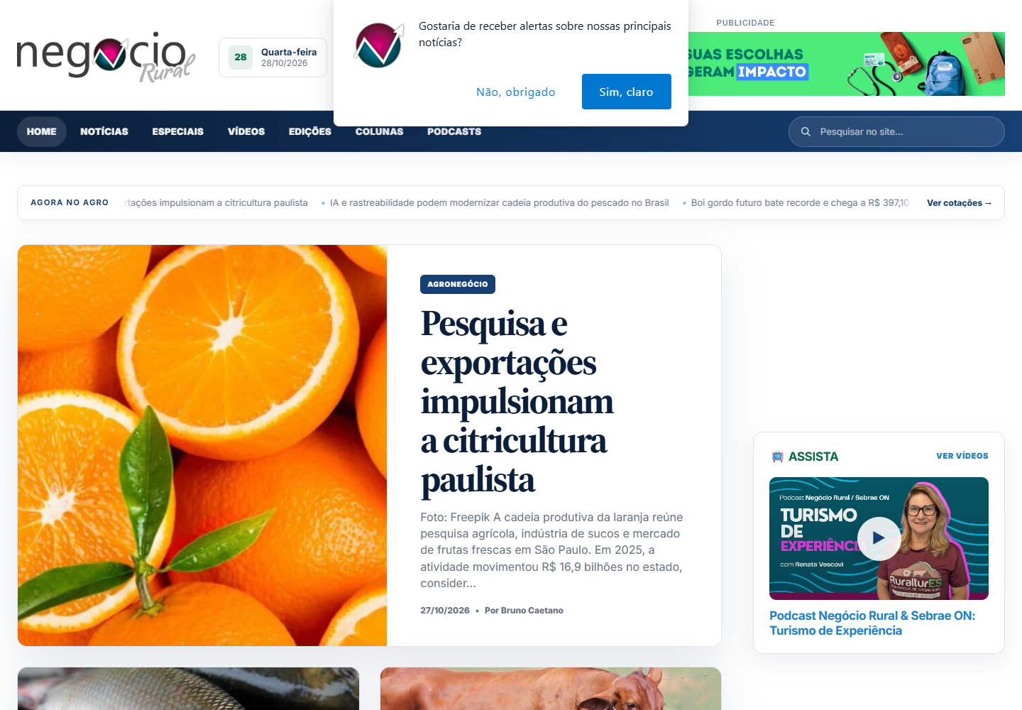 Recorte do portal Revista Negócio Rural